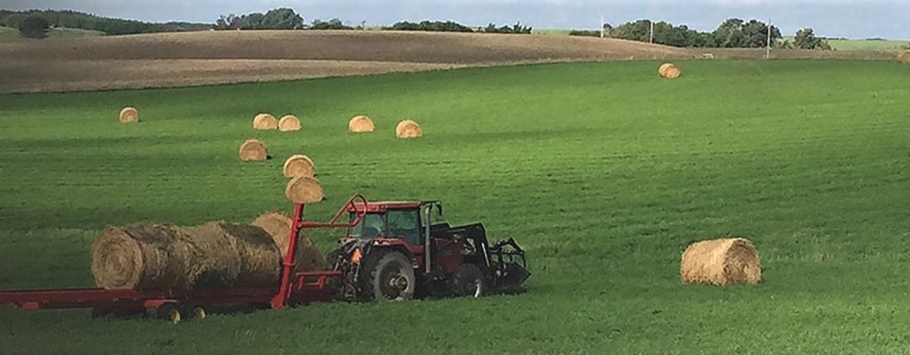 Bale Processors